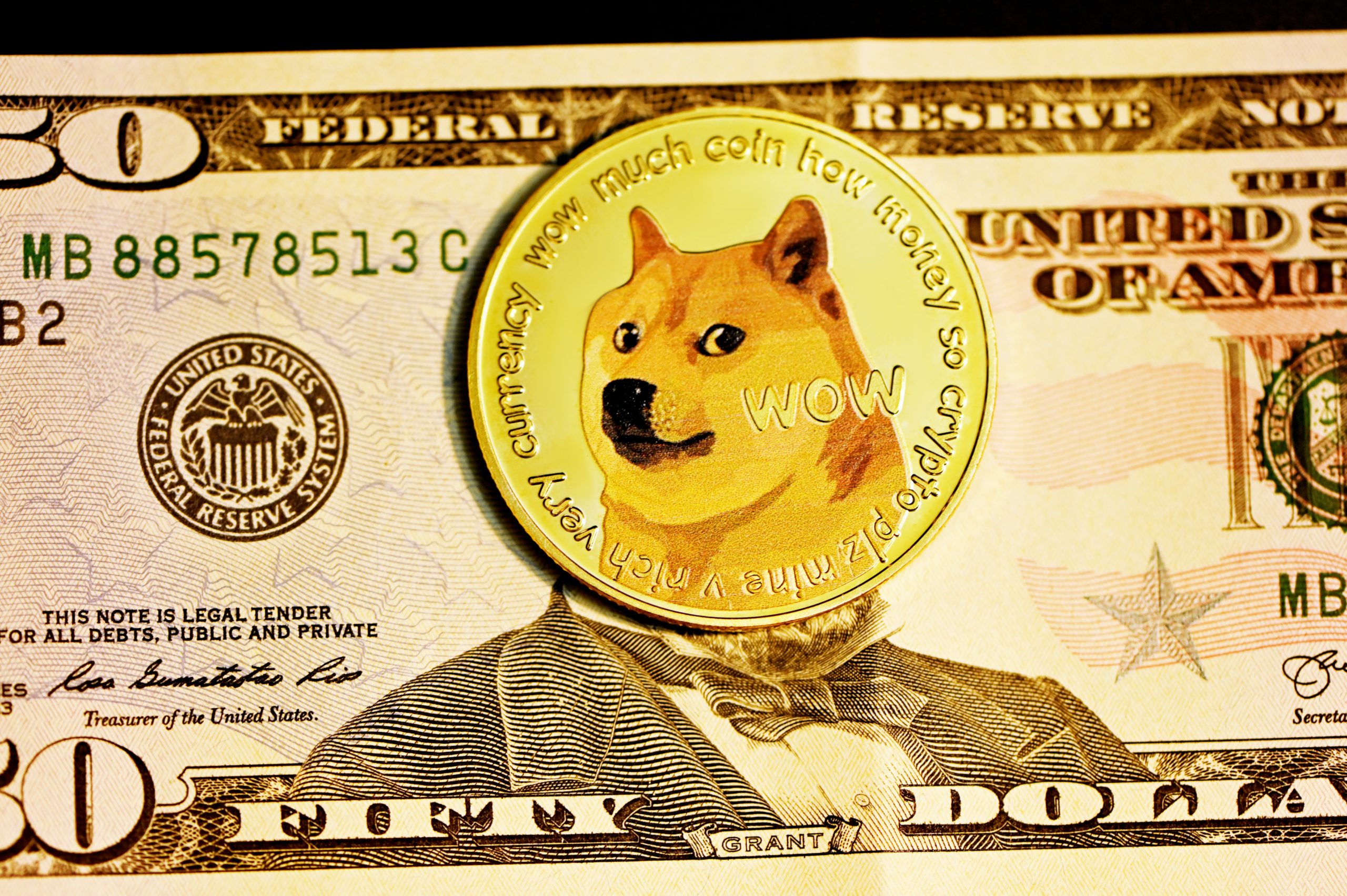 5 Cryptocurrencies to Invest your Money In: Risky Investment