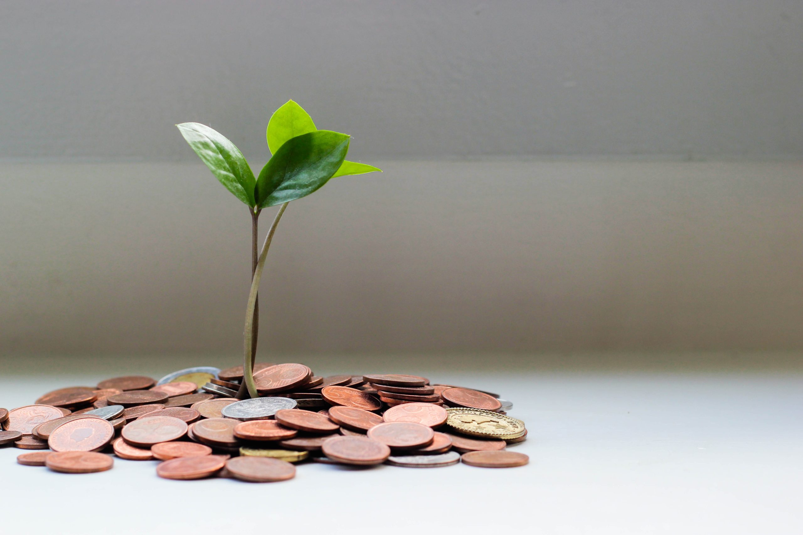 How to Save $10,000 in a Year: 7 Tips to get You Started