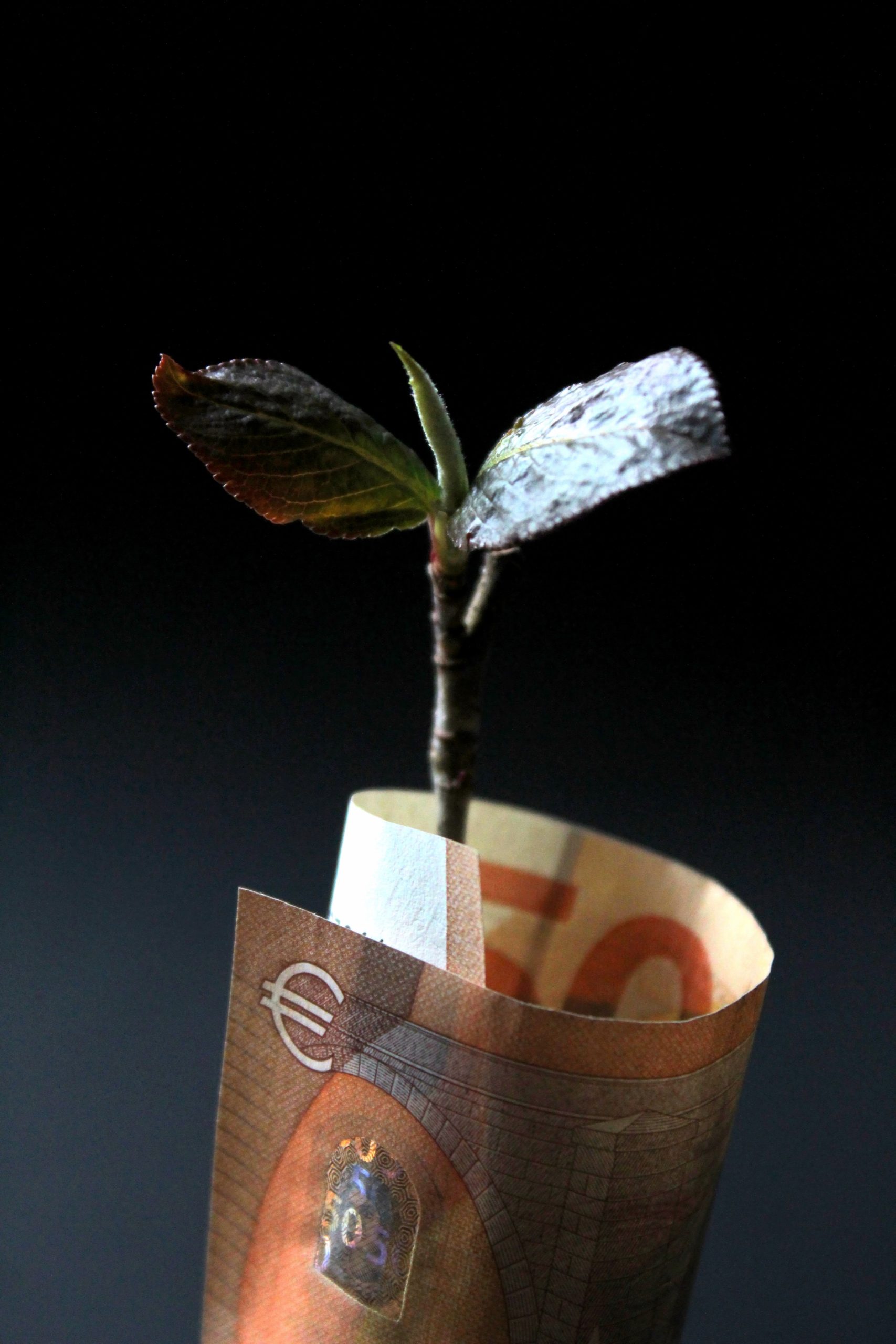 Three-Fund Portfolio: The Lazy Strategy That Really Works